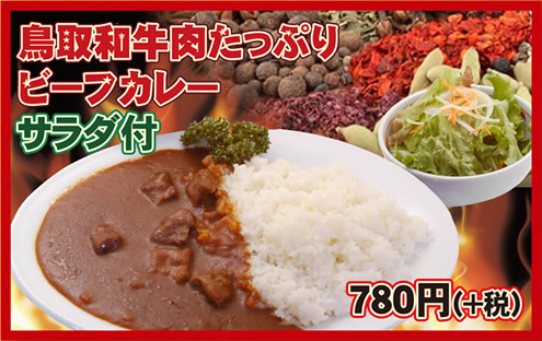 鳥取和牛牛肉たっぷりビーフカレーサラダ付き